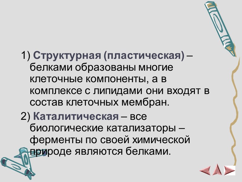 Функции белков 1) Структурная (пластическая) – белками образованы многие клеточные компоненты, а в комплексе